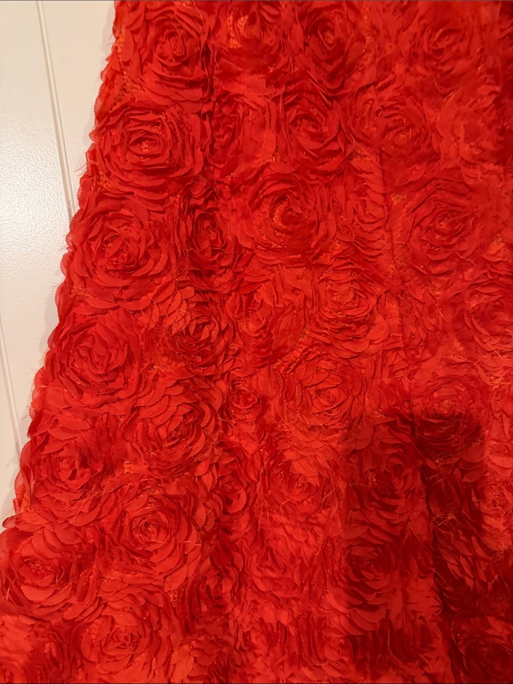 Red Rosette Textured Maxi  Skirt - Picture 2 of 9